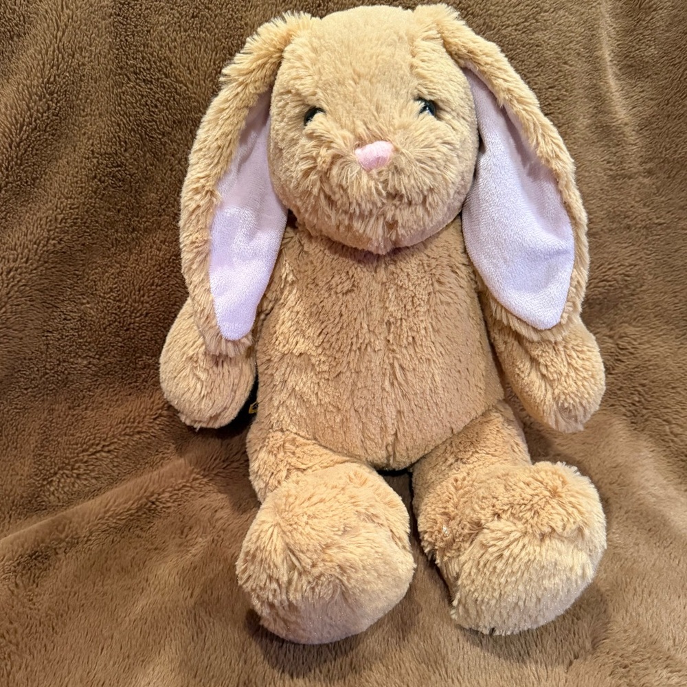 Build-A-Bear Workshop BABW 2010 16” Bunny Rabbit